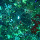 M0013858.JPG