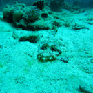 M0013862.JPG