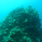 M0013864.JPG