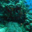 M0013865.JPG