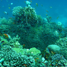 M0013866.JPG