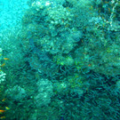 M0013867.JPG