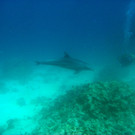 M0013872.JPG