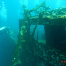 M0013904.JPG