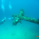 M0013906.JPG