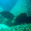 M0013910.JPG