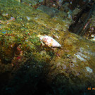 M0013912.JPG