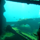 M0013918.JPG