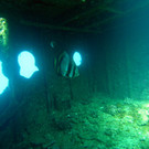 M0013921.JPG