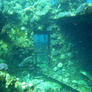 M0013928.JPG