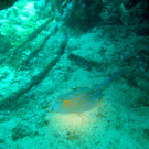 M0013937.JPG
