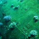 M0013951.JPG