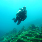 M0013953.JPG