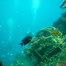 M0013964.JPG