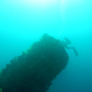 M0013966.JPG
