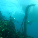 M0013969.JPG