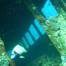 M0013970.JPG