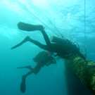 M0013974.JPG