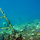 M0013977.JPG