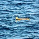 DSCN3246.JPG
