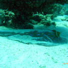 M0013736.JPG