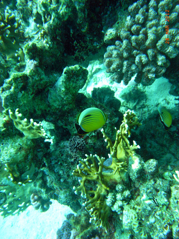 M0013759.JPG