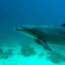 M0013856.JPG
