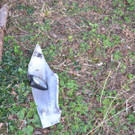 02042012_Toedl_ Motorradunfall Hernstein _2_.JPG