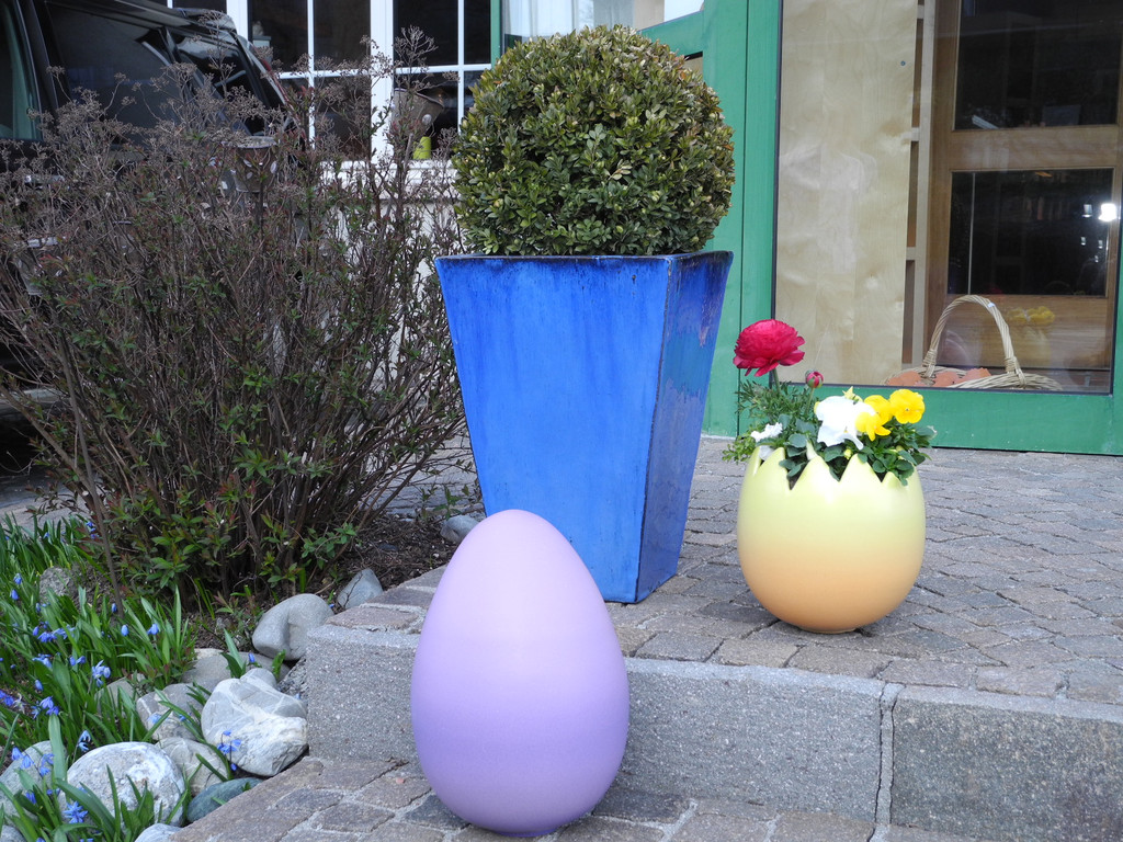 DSCN1835_JPG-1333439638