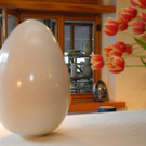 DSCN1838_JPG-1333439700