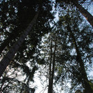 thurn-u-taxis_park02_jpg-1333441743