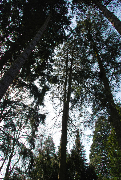 thurn-u-taxis_park02_jpg-1333441743