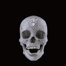 NETHERLANDS_BEJEWELED_SKULL_AMS101.jpg
