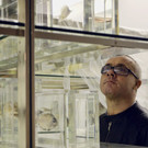 EU_Ukraine_Damien_Hirst_XEL106.jpg