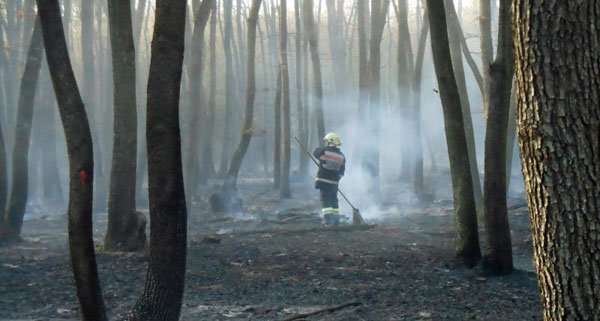 feuer.jpg