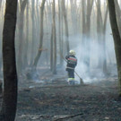 Waldbrand im Burgenland (Anfang April 2012)