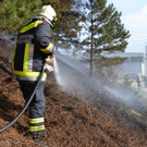 Bahndammmbrand in Neunkirchen