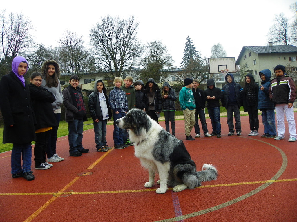 114_1781_JPG-1333490695