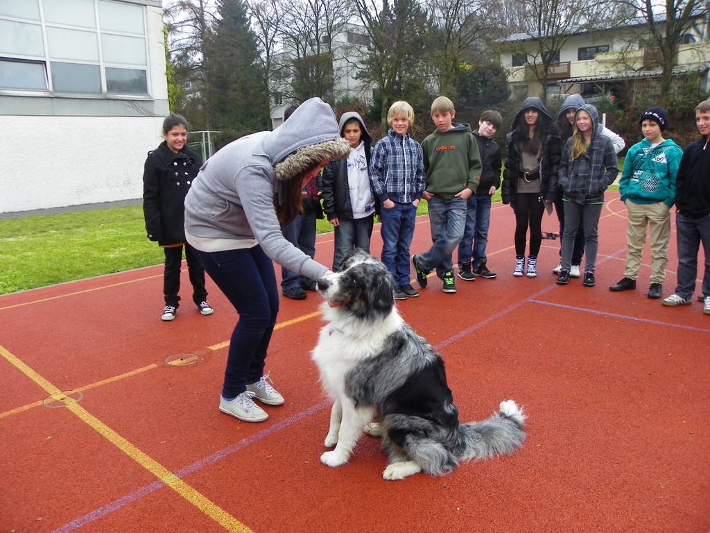 114_1771_JPG-1333490683