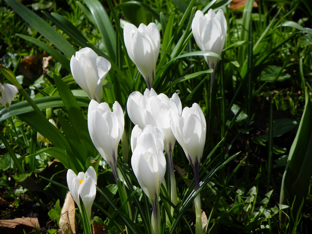 101_0025_jpg-1333492127