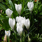 Seeanlagen im Frühling