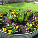 100_9899_jpg-1333492079