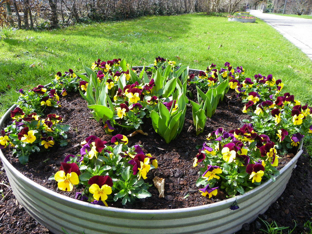 100_9899_jpg-1333492079