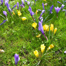 100_9913_jpg-1333492092