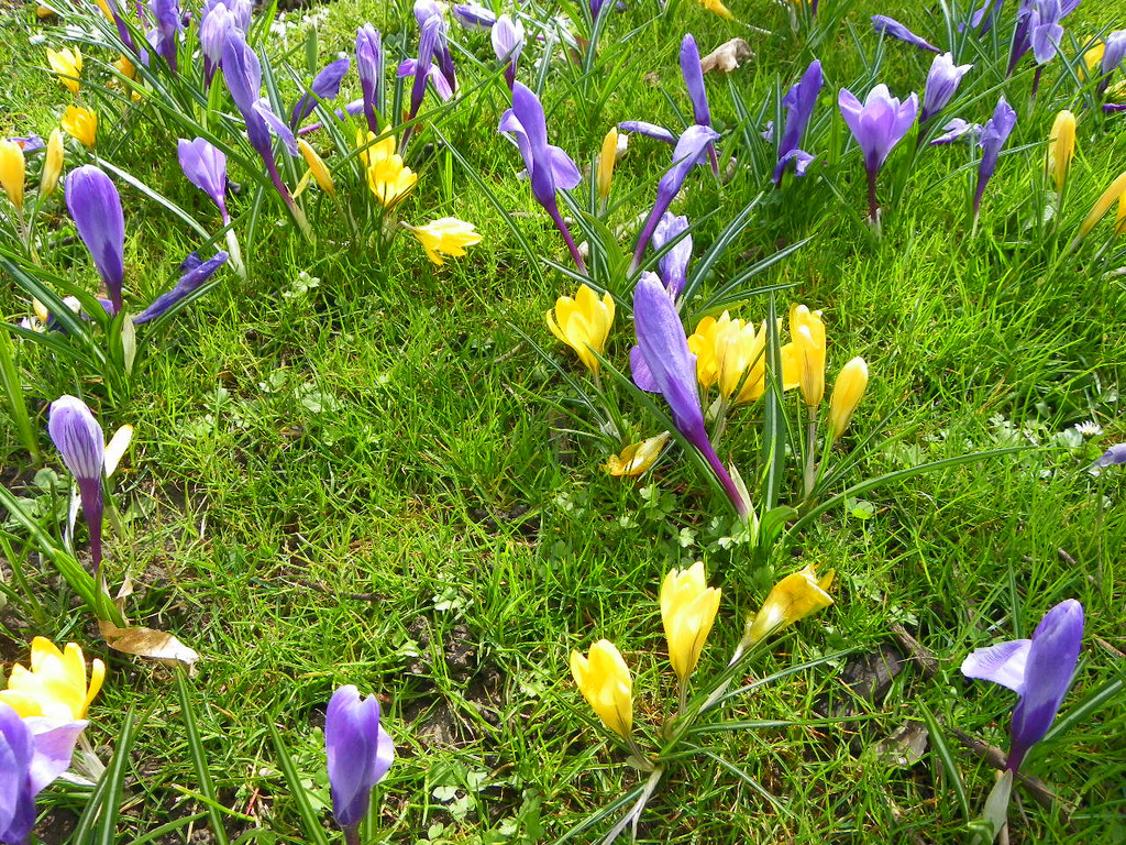 100_9913_jpg-1333492092