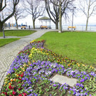 100_9905_jpg-1333492085