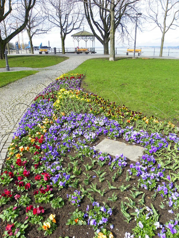 100_9905_jpg-1333492085