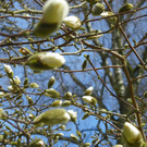 101_0044_jpg-1333492134