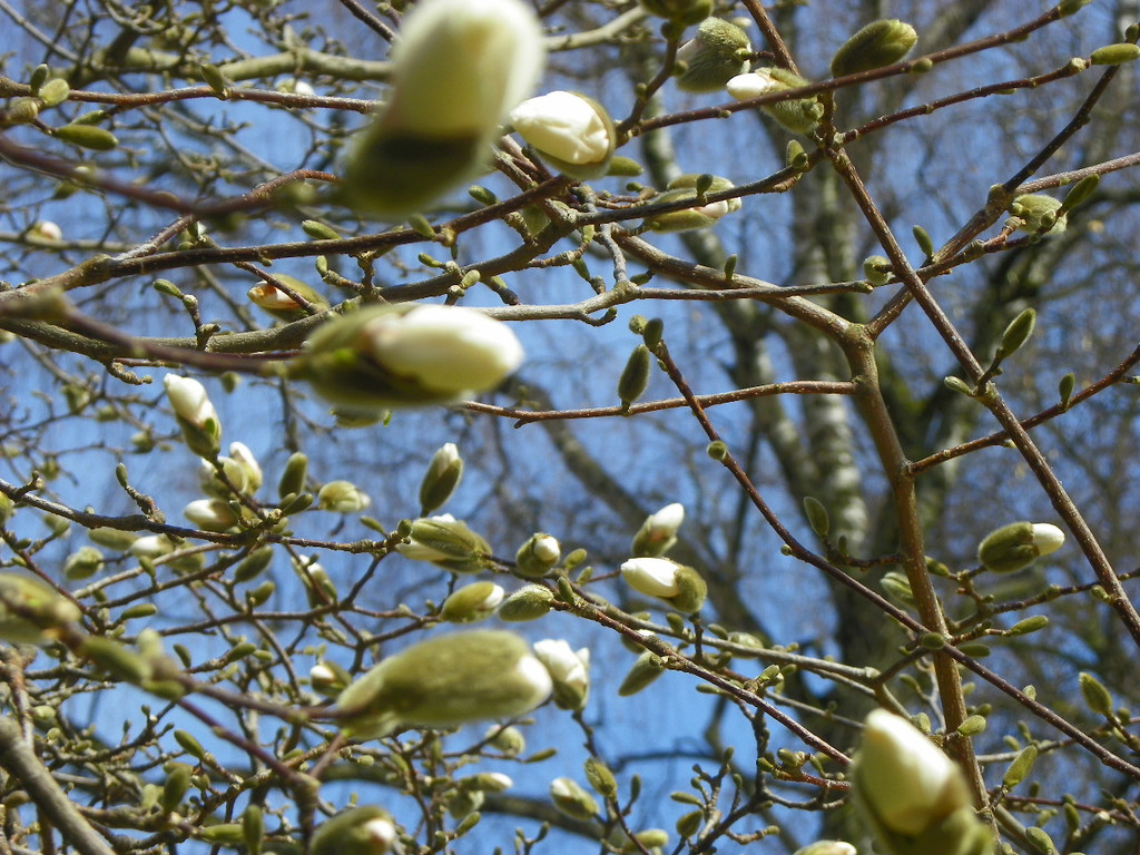 101_0044_jpg-1333492134