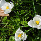 101_0051_jpg-1333492140